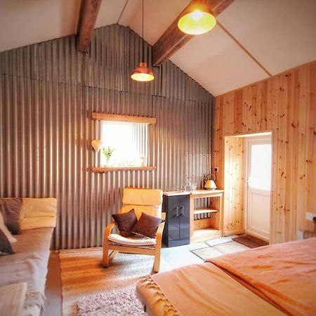 Y Boidy Bach Villa Llangranog Ngoại thất bức ảnh