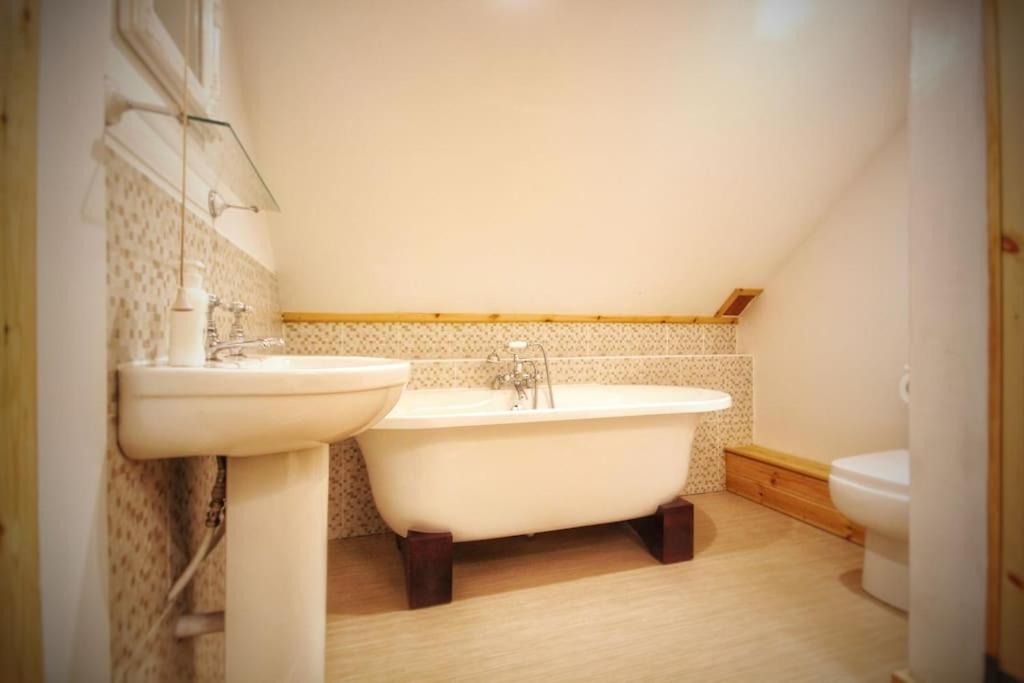 Y Boidy Bach Villa Llangranog Ngoại thất bức ảnh